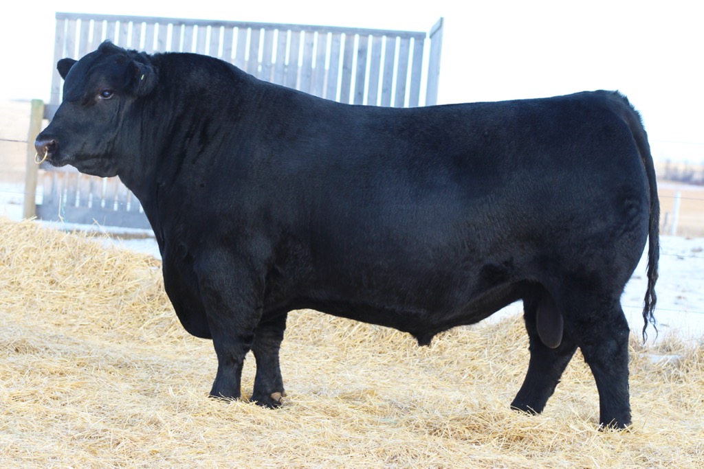 sire9