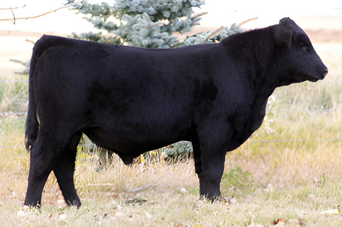 sire3