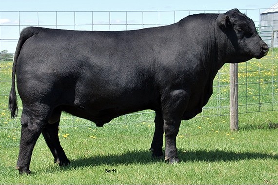 sire12
